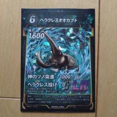 最終値下げ！標本　ヘラクレスオオカブト158mm胸角太め　ペア➕おまけ 最終値下げ！標本 ヘラクレスオオカブト158mm胸角太め ペア