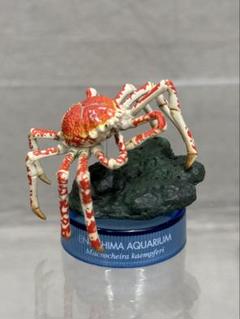 タカアシガニ フィギュア あそべる生物フィギュアシリーズ モンスターフィッシュ 日本の海