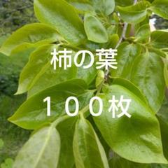 2025年最新】柿の葉（100枚）の人気アイテム - メルカリ