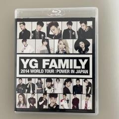 YG ファミリーコンサート ファースト ケープブランケット 2025年最新】YGファミリーコンサートの人気アイテム - メルカリ