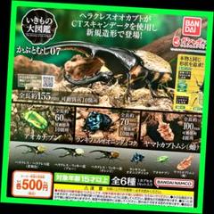 2025年最新】リッキー 標本の人気アイテム - メルカリ