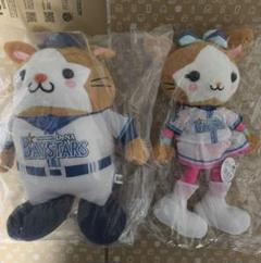横浜DeNAベイスターズ 旧ユニ DB.スターマン DB.キララ