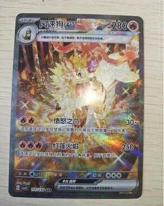 ポケモンカードゲーム ウィンディex 絵違い 海外 中国限定 ポケモンカードゲーム ウィンディex 絵違い 海外 中国限定