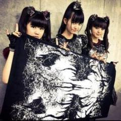 ベビーメタル フェイスタオル BABYMETAL クラッシュロゴ フェイスタオル 【未使用】ベビー