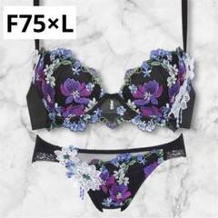 SALE サルート,サルート ～57G,サルート 51G-57G,サルート 51G