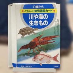 川や海の生きもの くもんの幼児図鑑カード