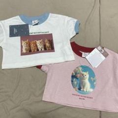 新品 しまむら softcheese ニコ ねこTシャツ 2枚セット 80