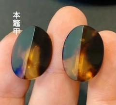 本鼈甲　鼈甲　鼈甲風　再生鼈甲まとめて Yahoo!オークション -「本鼈甲」の落札相場・落札価格
