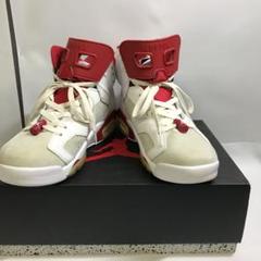 ナイキ エア ジョーダン6 レトロ オルタネイトヘア 28㎝中古