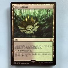 2025年最新】マジック ザ ギャザリング デュアルランドの人気