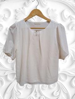 美品☆anysisカットソー　シフォン　オフホワイト