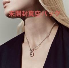 amam様新品未使用直営店HERMESシェーヌダンクル アミュレットペンダント 楽天市場】【ジュエリー】【新品仕上げ済】HERMES エルメス