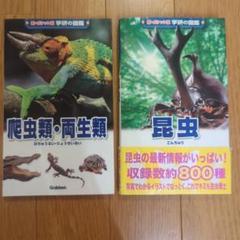 「爬虫類・両生類」・「昆虫」