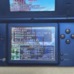 ドラゴンクエスト IX 星空の守り人 DS ソフト やりこみデータ