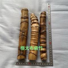 天然 布袋竹 工作材B 布袋竹 超極太 竹工芸品➁ - メルカリ