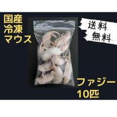 2025年最新】冷凍マウスの人気アイテム - メルカリ