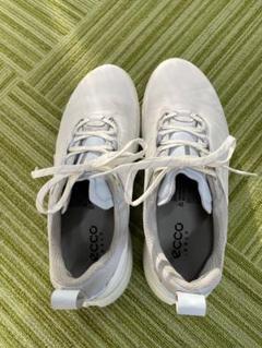 ecco BIOM HYBRID4 H4 43ホワイト