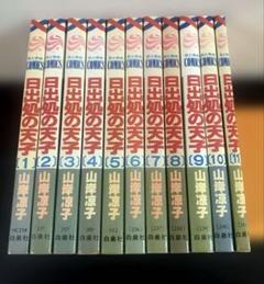 初版本多数】日出処の天子 山岸凉子 全巻セット 全11巻 - メルカリ