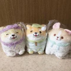 忠犬もちしば　パジャマパーティー　ぬいぐるみ