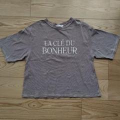 chocol raffine robe グリーンパークス　半袖ボーダーTシャツのサムネイル