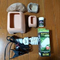 2025年最新】レオパ飼育セットの人気アイテム - メルカリ