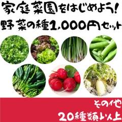 秋まき野菜の種1,000円セット 【B】根菜セット