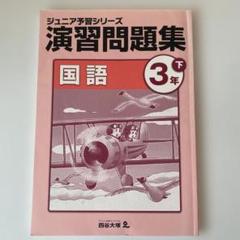 ジュニア予習シリーズ ３月～１月 21hSi-BRSjL._UX250_SCLZZZZZZZ_.jpg