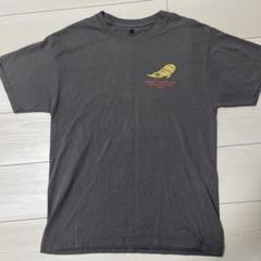 Cub Scout Day Camp Tシャツ グレー　M