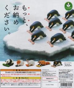 パンダ 5点おまとめ m37763493339_1.jpg?1728966899