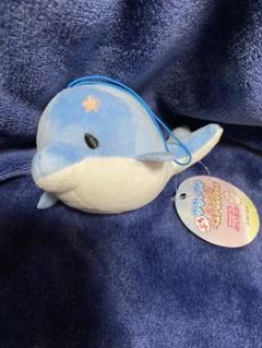 新品　未使用　みいるか　ぬいぐるみ　まとめ売り　　バラ売り不可 みいるか情報まとめ🐬🎨 (@miiruka_matome) / X