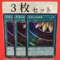 遊戯王　溟界　レプティレス　デッキ　ナイア　ヌル　溟界の蛇睡蓮　[03863] 遊戯王 溟界 レプティレス デッキ ナイア ヌル 溟界の蛇睡蓮
