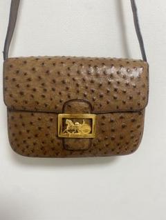 希少 VINTAGE OLD CELINE オーストリッチレザー バニティバッグ 激レア 希少 VINTAGE OLD CELINE オーストリッチレザー バニティ