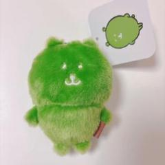 カラーなナガノのくま 抹茶
