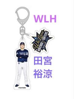 田宮裕涼　キーホルダー　2点セット [order-sales]-[ec-orders]-