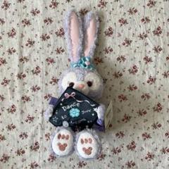 香港ディズニー❤️卒業記シリーズ ステラルー ぬいぐるみ