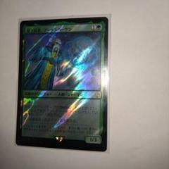 MTG FF 賢き長老、ブーゲンハーゲン サージfoil コレクター統率