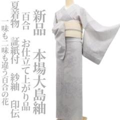 紗紬 夏着物正絹 トールサイズ 証紙付き“静かに巻き起こる夏嵐☆”絹芭蕉W-82 新品 夏着物 正絹 証紙付“不変を紡いで名を残す今甦る赤城の伝統