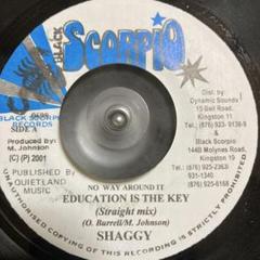 shaggy LP 含めreggae LP 6枚まとめ売り - メルカリ
