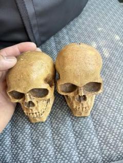 天然石(多分)頭蓋骨　3個 天然石(多分)頭蓋骨3個
