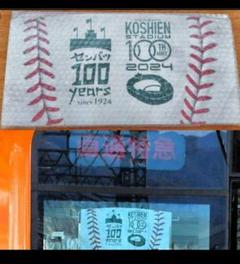 【100枚限定品】阪神甲子園球場100周年×選抜高校野球大会100年副標のサムネイル