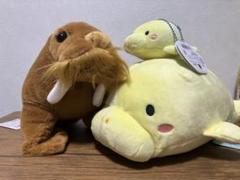 鳥羽水族館　ぬいぐるみ　3種