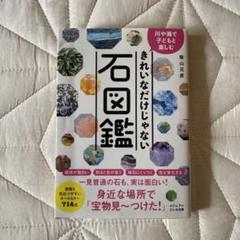 美品 希少本 観石堂 藏 桂林奇石 石 図鑑 研究 中国