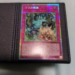 命王の螺旋　プリズマティックシークレット　プリシク　遊戯王
