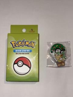 韓国 限定 ロッテワールド ポケモン ピンバッジ リーフィア