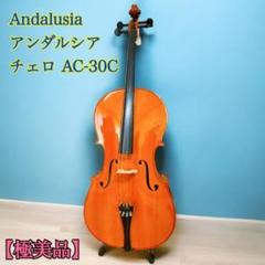 Andalusia アンダルシア チェロAC-30C