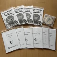 2025年最新】ピグマリオン 第3グレードの人気アイテム - メルカリ