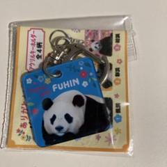 【ラスト1点】アドベンチャーワールド　パンダ　アクリルキーホルダー　楓浜