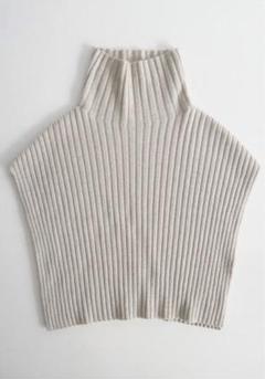 【2022A/W】 evam eva / wool rib snood 2022A/W】 evam eva / wool rib snood - メルカリ