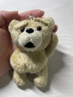 ted ぬいぐるみとキーホルダーセット TED Ted テッド ぬいぐるみ クマ くま 有吉 キーホルダー