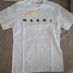 試着のみ マルニ MARNI ロゴTシャツ 14y 総ロゴ 半袖 クールネックL